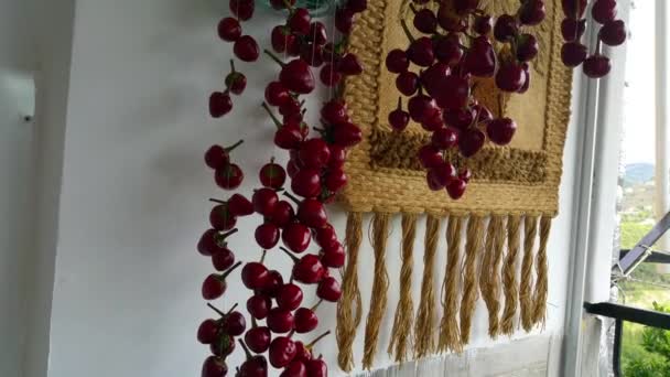 家の壁に掛けられ 伝統的な方法で乾燥赤ピーマンの多く スパイスと粉末のための伝統的な乾燥パプリカ 唐辛子の背景 — ストック動画