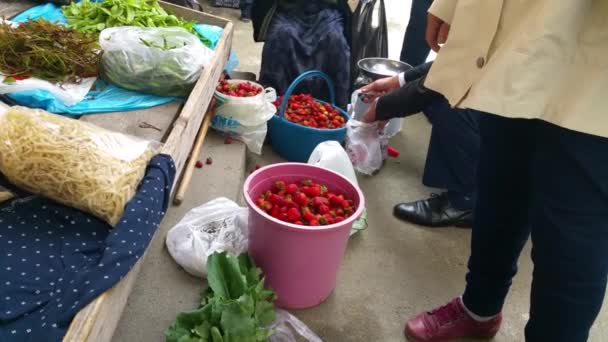 Hortalizas Ecológicas Granja Local Mercado Agricultores Verano — Vídeo de stock