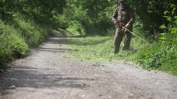 Giardiniere Professionista Falciatura Prato Central Park Proprietà Con Taglierina Benzina — Video Stock