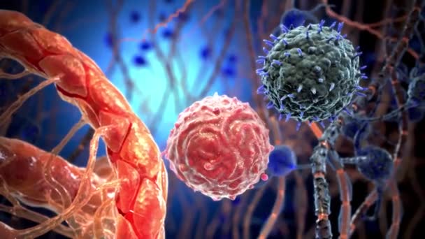 Komórki Pomocnicze Cd4 Oddziałują Powierzchnię Komórek Odpornościowych — Wideo stockowe