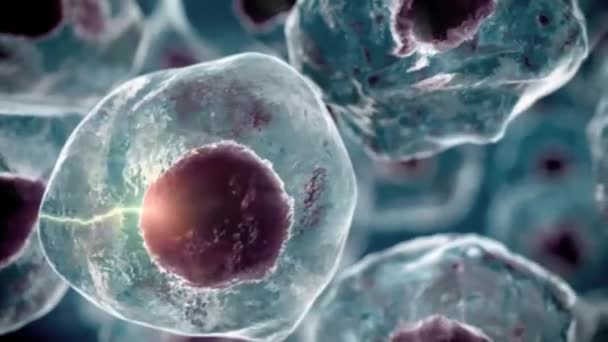 Анатомия Человека Клетки Найденные Органах — стоковое видео