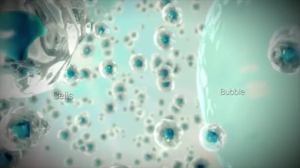 Hücre Bölünmesi Veya Klonlama Hücreleri Kök Hücreler Mikroskop Altında Bölünüyor — Stok video