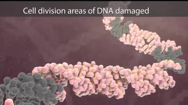 Dns Sejtosztódás Molekulájának Körforgása — Stock videók