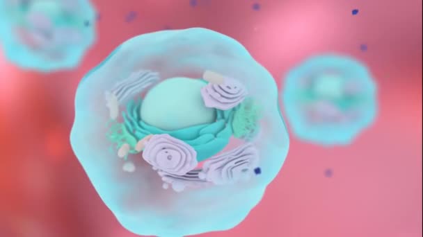 Mikroszkopikus Kép Sejtek Sejtek Orvosi Videó Háttér — Stock videók