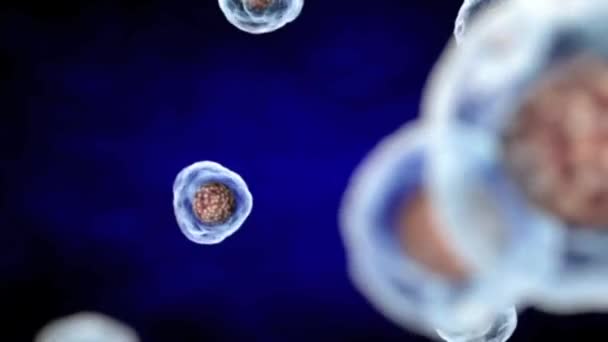 Cellule Che Dividono Tonalità Blu Replica Della Mitosi Una Cellula — Video Stock