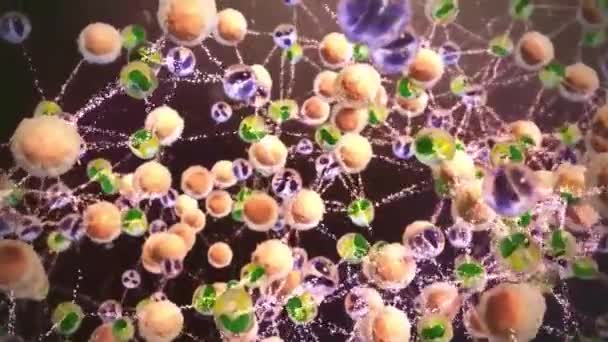 Interacțiuni Celulare Bacteriene — Videoclip de stoc
