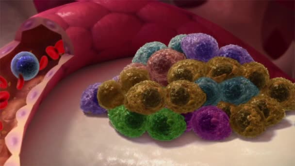 克隆进化 骨髓瘤不断变化的本质 — 图库视频影像
