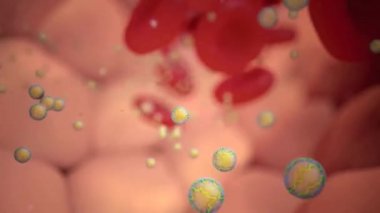 Kırmızı kan hücrelerinin kan dolaşımında seyahat eden çekim odak noktası ve yağ tanecikleri damar duvarlarında biriken yağ plakları kabarcık efektli atherosclerosis adı verilen yağ plakları oluşturur.