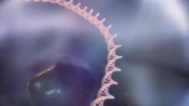 Tümör hücresinin DNA yapısında bozulma ve bozulma
