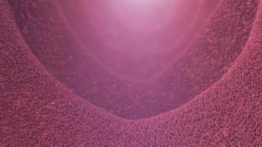 Mikroskop altında bağırsaklarda gerçekçi bir vili. Bağırsak astarı. Mikroskobik vili ve kılcal damarlar. Tasarım için hastalıklı bağırsak kavramı. Gastrointestinal sistem hastalığı.