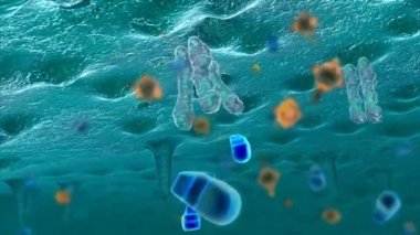 Hücre yapısında bozulma