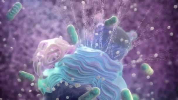 Kanser Hücre Bölümü Tümör Büyümesi Ilerlemesi Anormal Kontrolsüz Kanser Hücreleri — Stok video