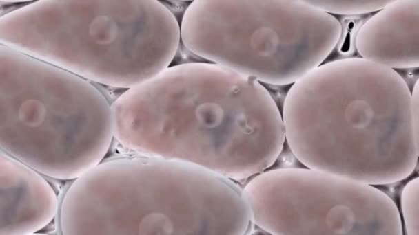Διαταραχή Της Δομής Των Κυττάρων — Αρχείο Βίντεο