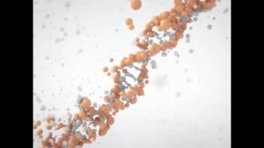 DNA dizisi görüntüsü hd video