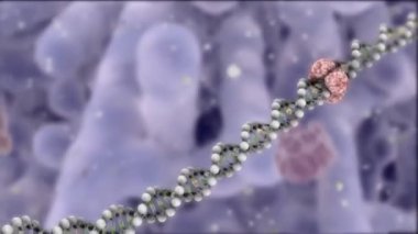 DNA molekül yapısının animasyonu. Genetik bilginin bilim kavramsal tasarımı ve DNA sarmalı animasyonu ile soyut DNA sarmalı. HD 4k UHD Alfa Kanalı görüntüleri. Kusursuz döngünün animasyonu.