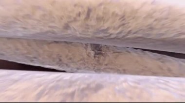 3 boyutlu DNA animasyonunun görüntüsü birleştiriliyor. DNA yapılandırması