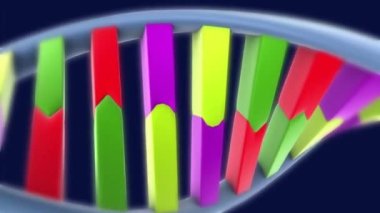 Canlandırılmış Renkli DNA Molekülü