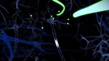 Neuronas ve Synapse 3D canlandırma. Beyindeki sinirsel aktivite, nöral ağ, nöroaktivite, sinapslar, dendrid, nörotransmitter, myelin, Schwann hücreleri, beyin, aksonlar.