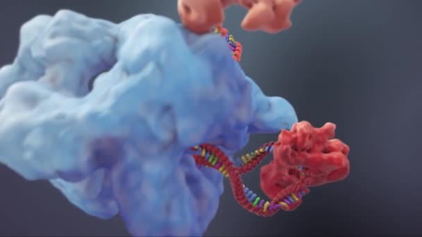 Генетическая Структура Анимированной Днк — стоковое видео