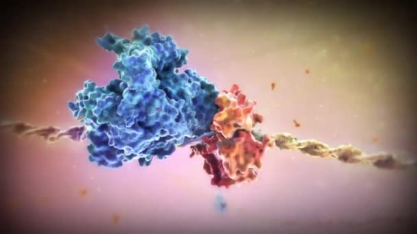 Dna Transferat Rna — Videoclip de stoc