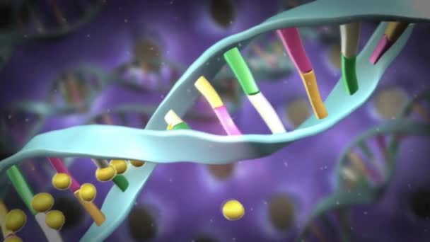 Animatie Van Dna Constructie Scan Science Animatie Genom Futuristische Beelden — Stockvideo