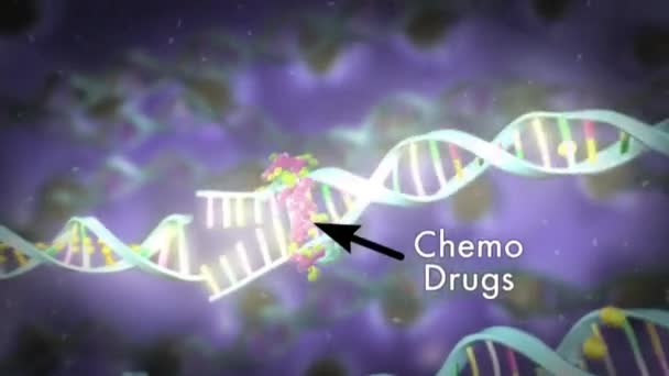 Chemotherapy Drugs Attack Dna Helix — Stock Video