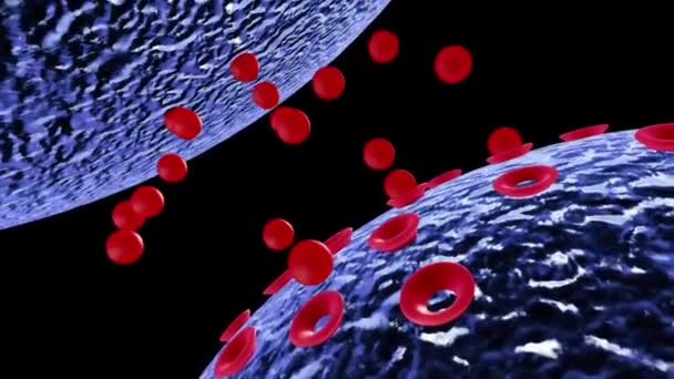 Beyin Hücresi Sinaptik Sinir Hücresi Reseptörü Tarafından Bir Modeli Görselleştirmesinde — Stok video