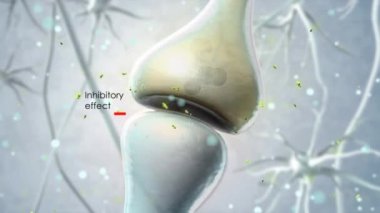 Sinaptik iletim, insan sinir sistemi. Beyin sinapsları. Aktarım sinapsı, sinyaller, beyindeki impulslar, hücresel ya da atomik düzeyde bilgi transferi.