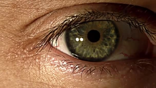 Extreme Close Detailed Green Eye Looking Closing Eyelids — Stock Video