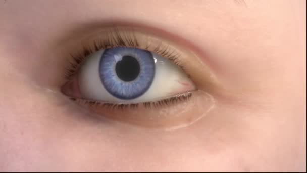 Makro Modrá Zbarvená Kruhová Spirála Rotující Oční Duhovka — Stock video