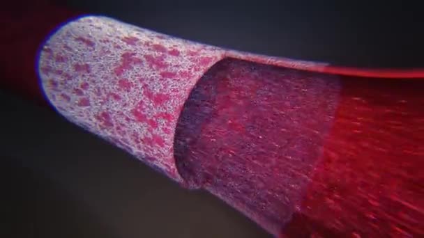 静脉中的血液流动 — 图库视频影像