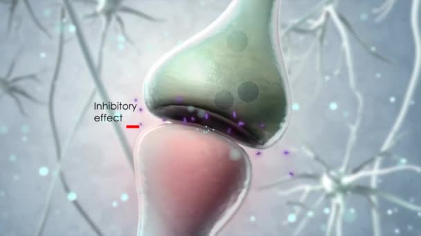 Sinapse Transmissão Sinais Impulsos Cérebro Transferência Informação Nível Celular Atómico — Vídeo de Stock