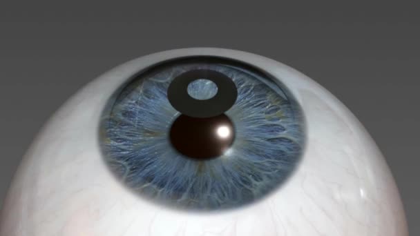 Cataract Surgery Application View — Stock Video