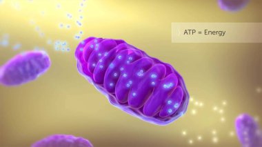 ATP sentetik tıbbi illüstrasyon