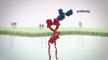 Antikor antijen ilaç bilim mikrobiyolojisi