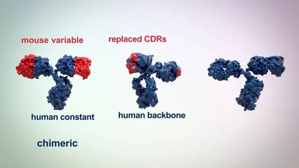 scienceanm