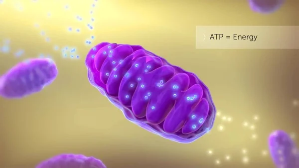 ATP sentetik tıbbi illüstrasyon