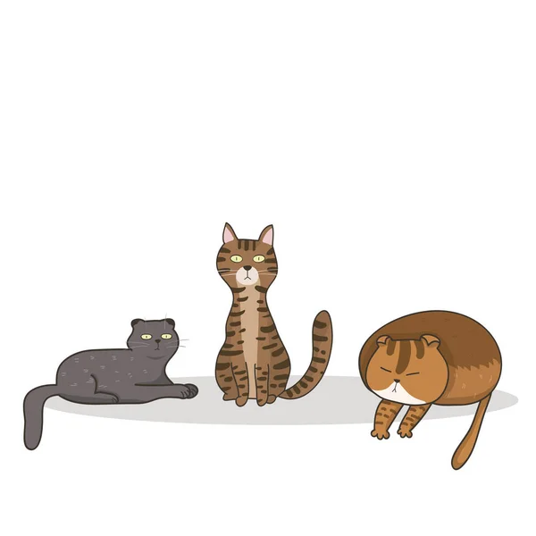 Sammlung Von Sitzenden Niedlichen Cartoon Sitzenden Katzen — Stockvektor