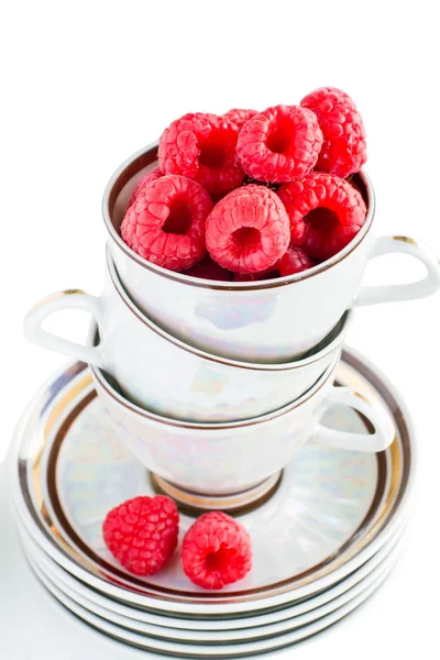 Fresh raspberries in a cup — Stock Photo, Image