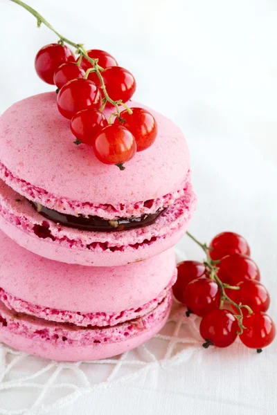 Berry macaroon — Stock Photo, Image