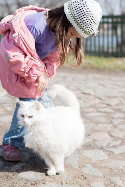 Schattige kleine meisje streelde witte kat — Stockfoto