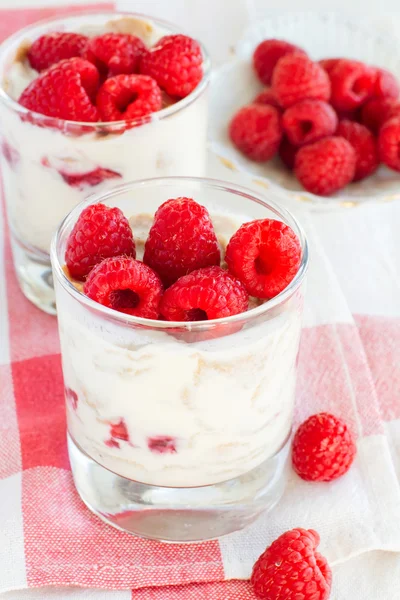 Cottage cheese with raspberries — Stock Photo, Image