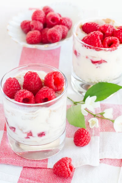 Dessert of cottage cheese — Stock Photo, Image