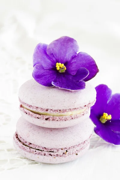 Macaroon violeta — Fotografia de Stock