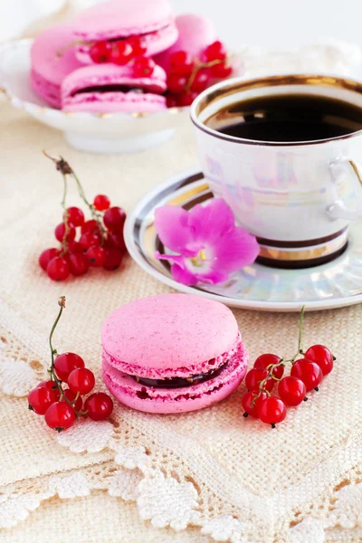 Berry macaroon with red currants — Stock Photo, Image