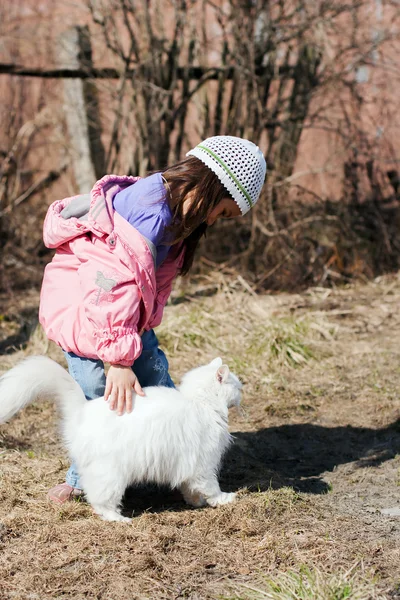 Schattige kleine meisje streelde witte kat — Stockfoto