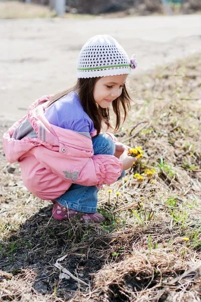 Liten flicka plocka massa små gula blommor — Stockfoto