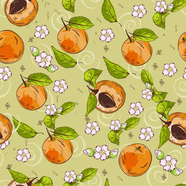 Abricot Dessin Images Vectorielles Abricot Dessin Vecteurs Libres De Droits Depositphotos