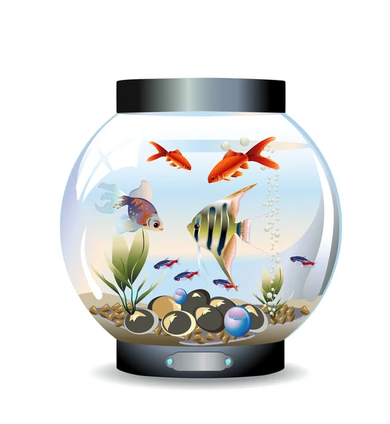 Round aquarium — Stock Vector