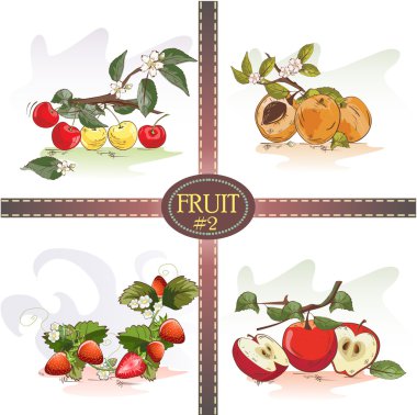 Kiraz, kayısı, çilek ve elma